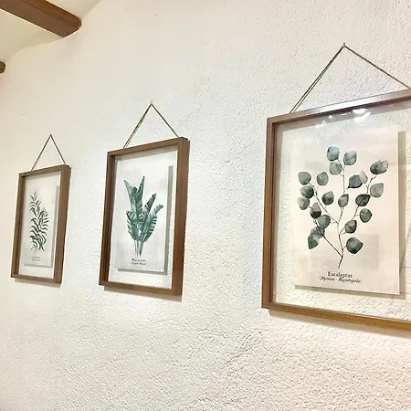 Apartment Terra